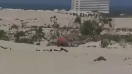 巨大的金发黑妞乱搞她在铸造猪鬃